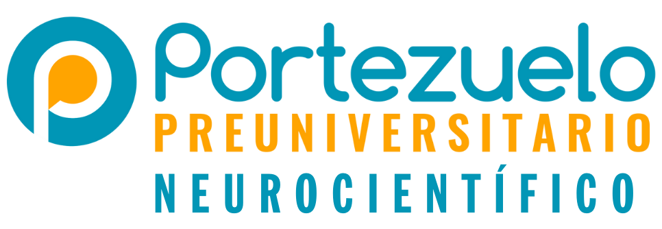 Preuniversitario Portezuelo